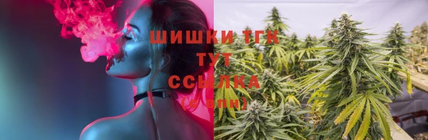 винт Бронницы