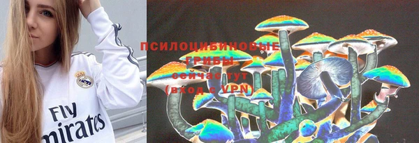 винт Бронницы