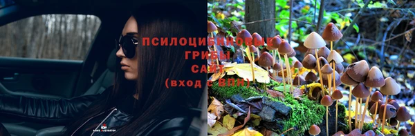 винт Бронницы