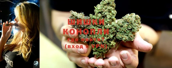 винт Бронницы